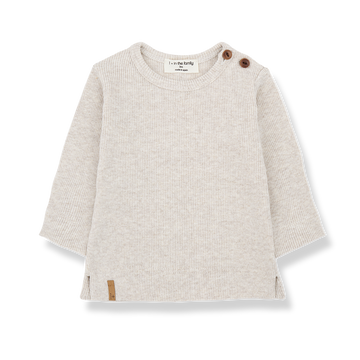 [1+ in the family]   ALFONS