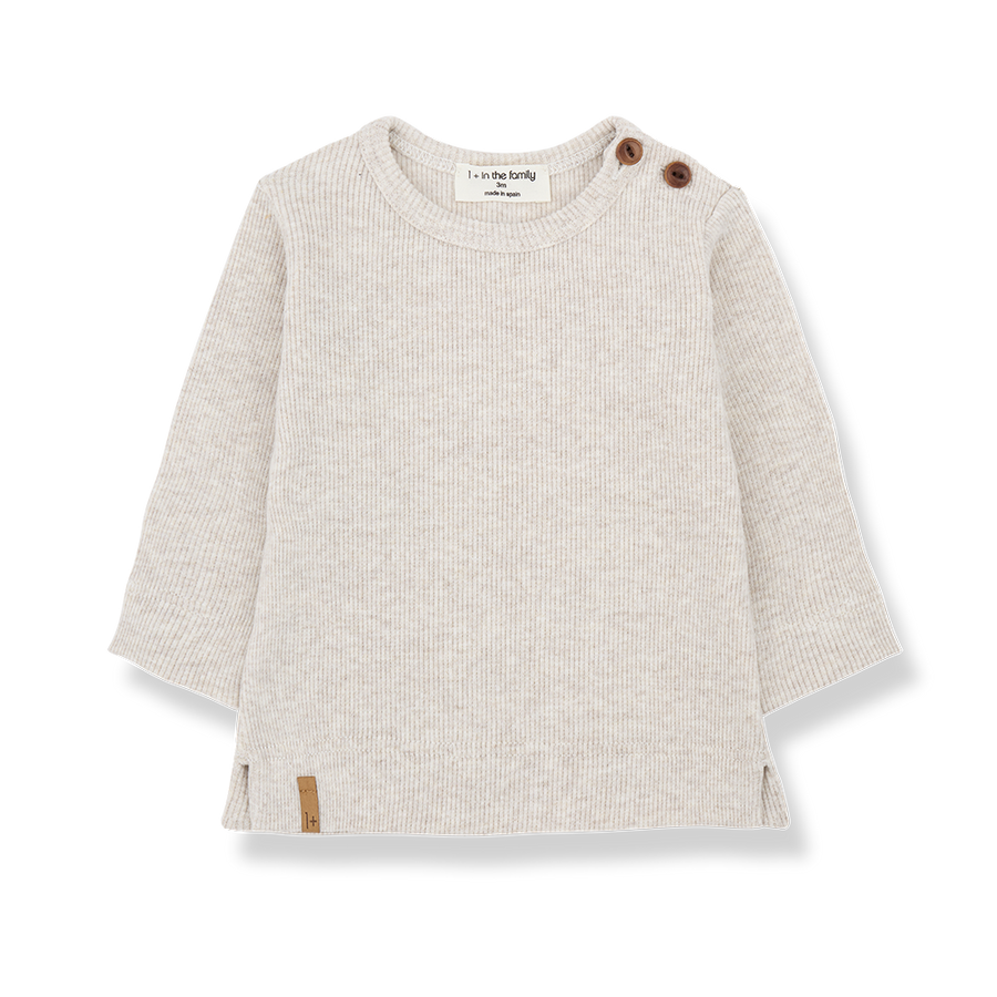 [1+ in the family]   ALFONS