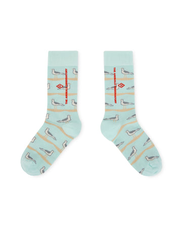 [The Animals Observatory]   SNAIL KIDS SOCKS