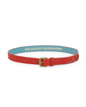 [The Animals Observatory]   IBIS KIDS BELT