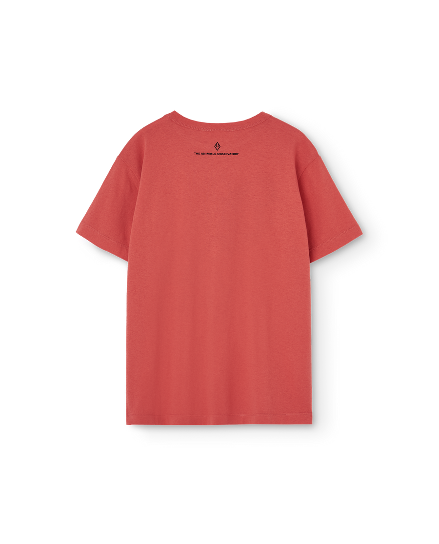 [The Animals Observatory]   BIG ROOSTER KID T-SHIRT