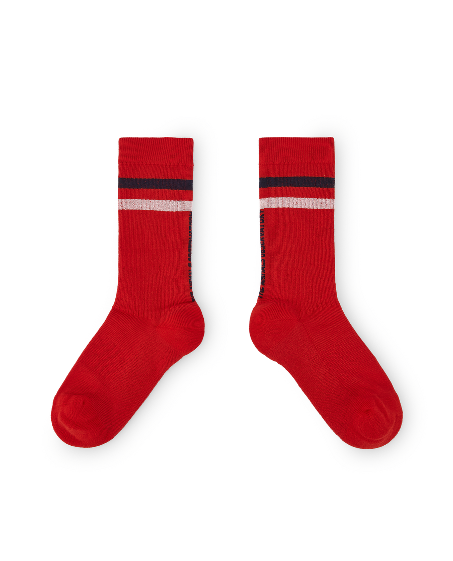 [The Animals Observatory]   SKUNK KID SOCKS