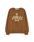 [The Animals Observatory]   KILLIFISH WARM
