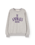 [The Animals Observatory]   KILLIFISH WARM