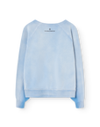 [The Animals Observatory]   SHARK WARM