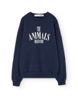 [The Animals Observatory]   KILLIFISH WARM