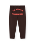 [The Animals Observatory]   STAG