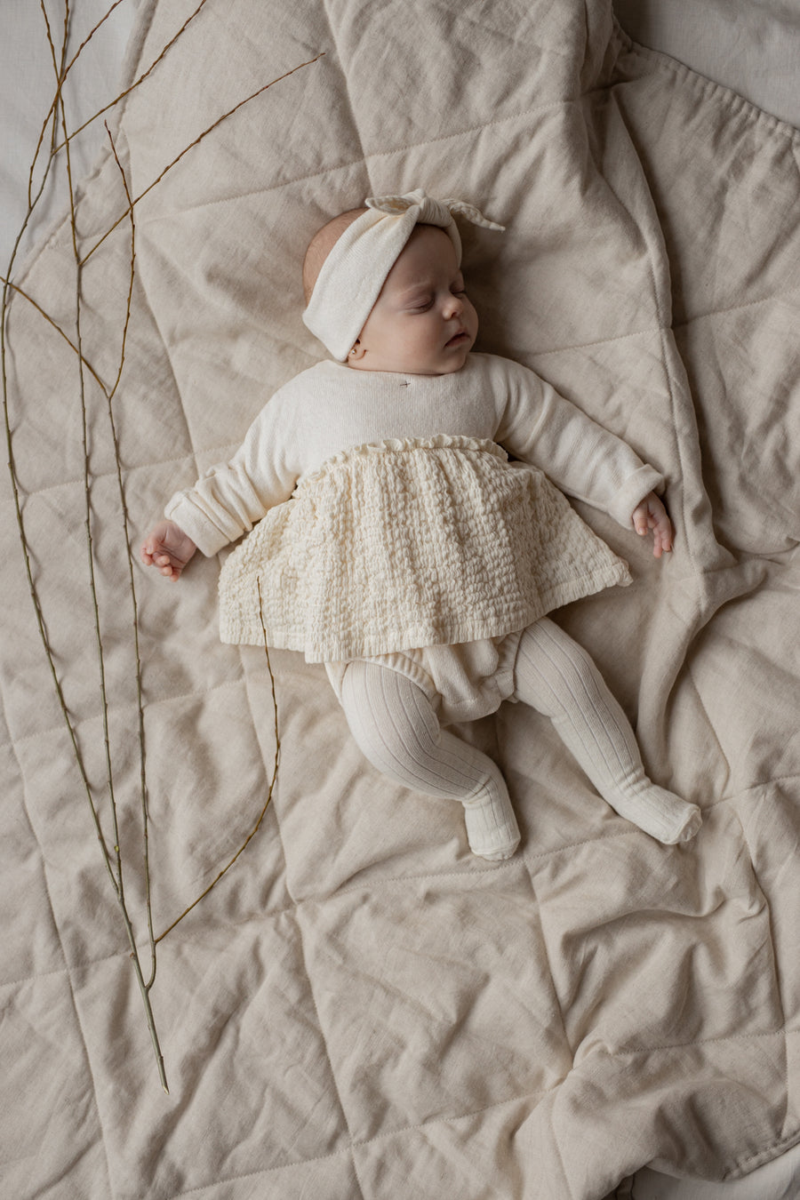 [1+ in the family]   INES