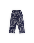 [The New Society]   Luis Pant