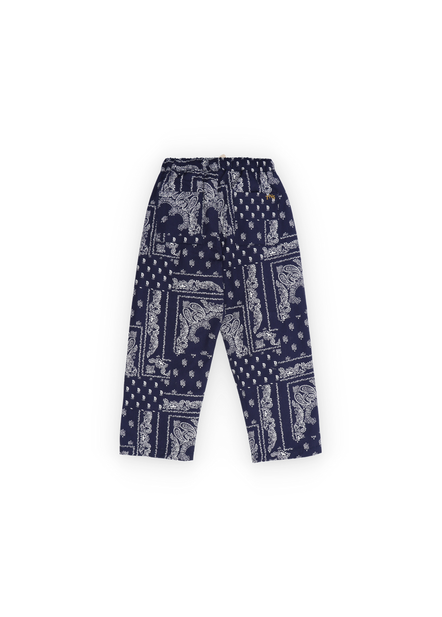 [The New Society]   Luis Pant