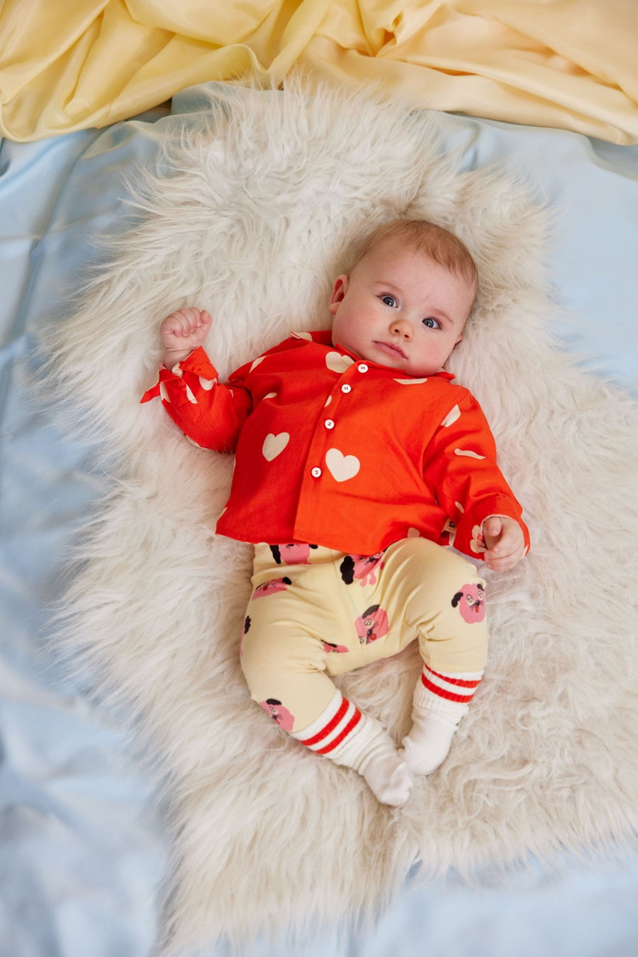 [mini rodini]   Doggies aop leggings