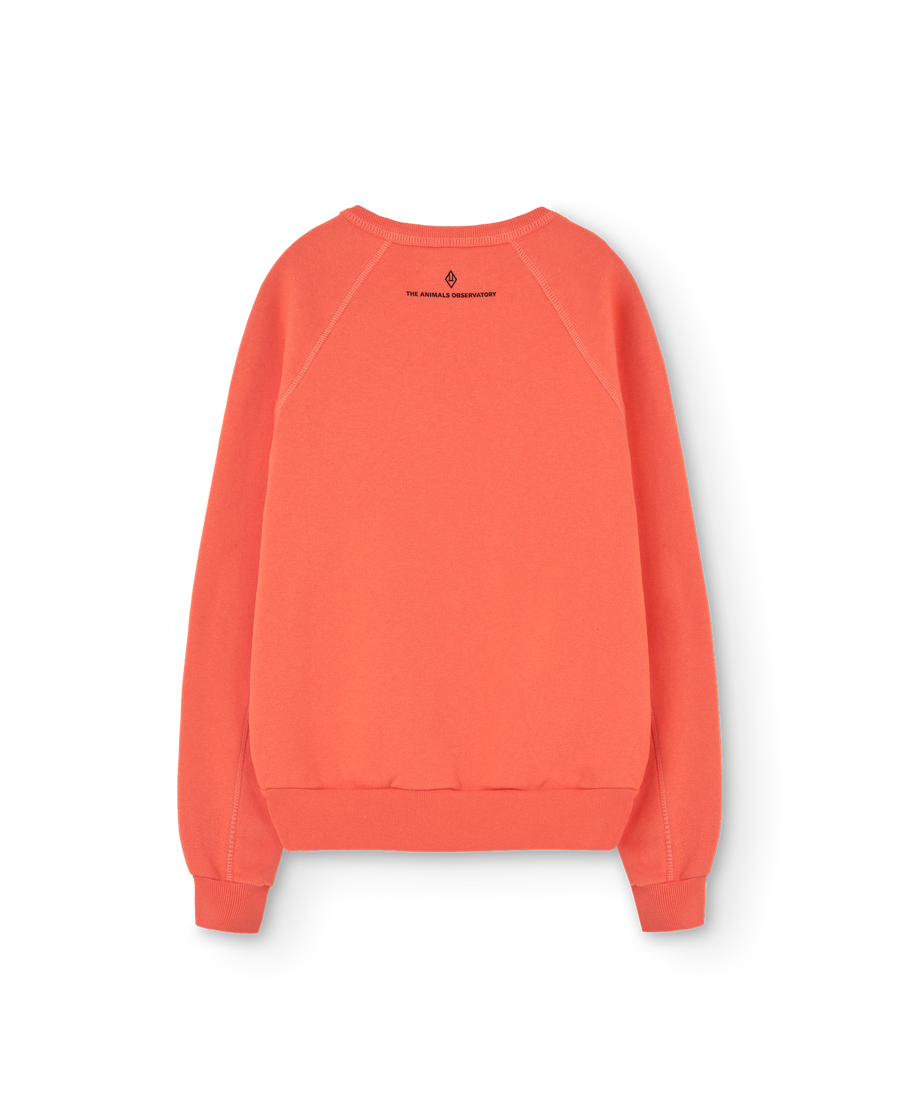 [The Animals Observatory]   SHARK KID SWEATSHIRT Salmon