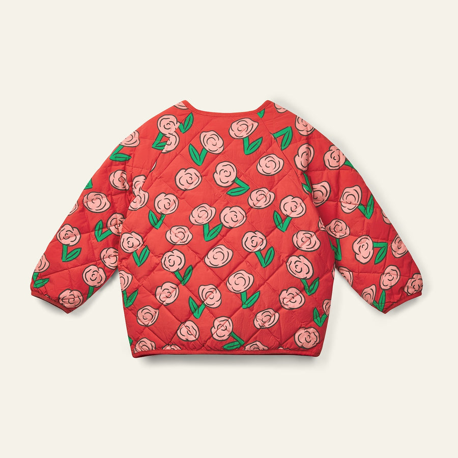 [Wynken]   ANNKA DOWN BOMBER