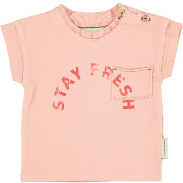 [piupiuchick]   t'shirt | light pink w/ "stay fresh" print
